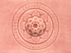 C-50 Cherry Blossom by Amaco