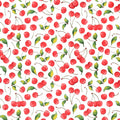 Underglaze Transfer - Cherries