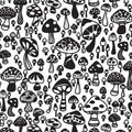 Underglaze Transfer - Wild Mushrooms