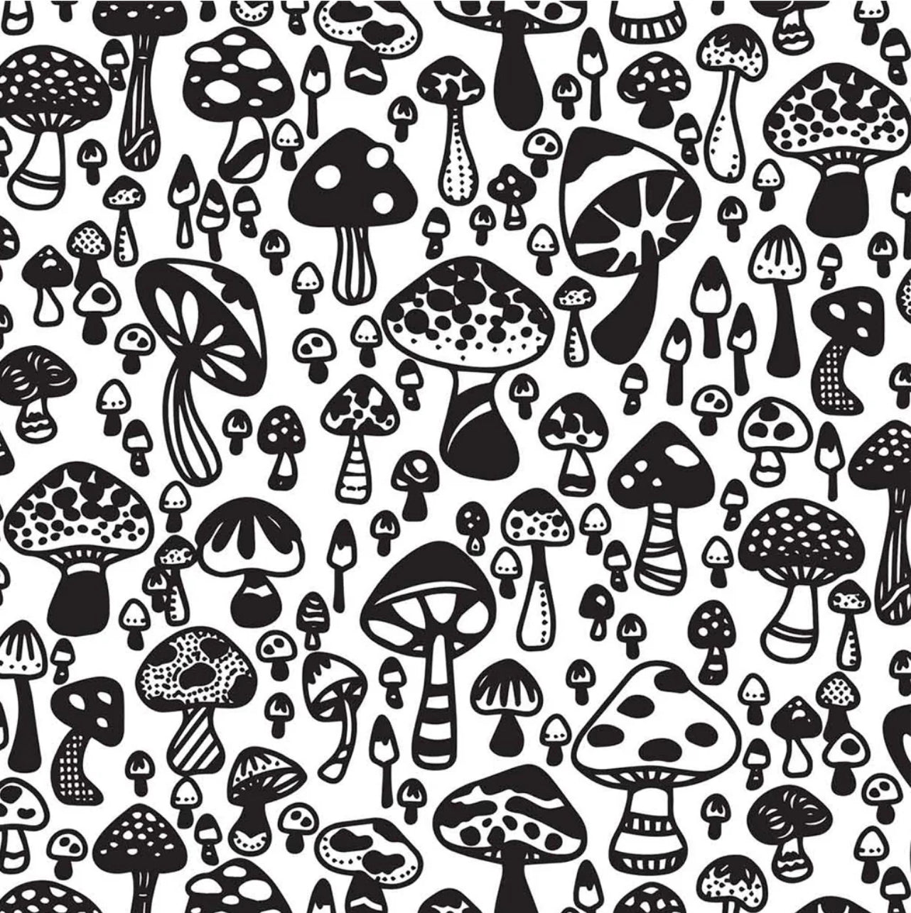 Underglaze Transfer - Wild Mushrooms